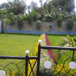 Gardening services plus fencing