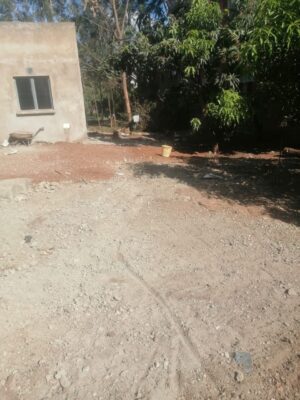 Land clearing services