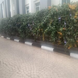 Compound designing