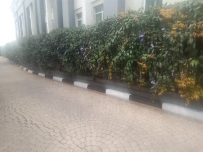 Compound designing 