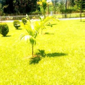 landscaping services in Nairobi