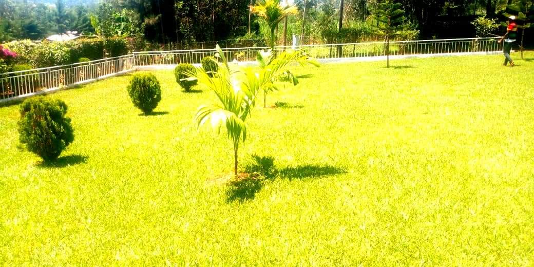 landscaping services in Nairobi