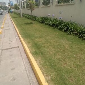 Landscaping company Nairobi Kenya