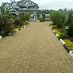 cabro paving