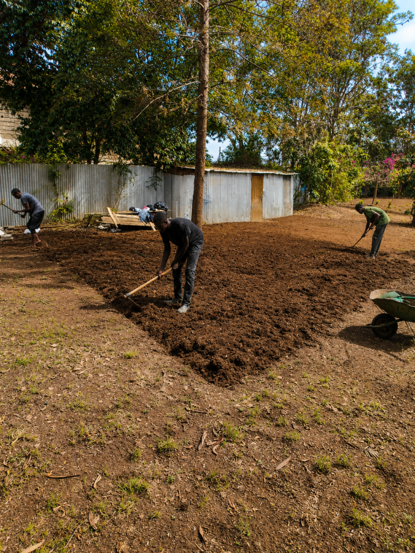Landscaping Services in Ruiru