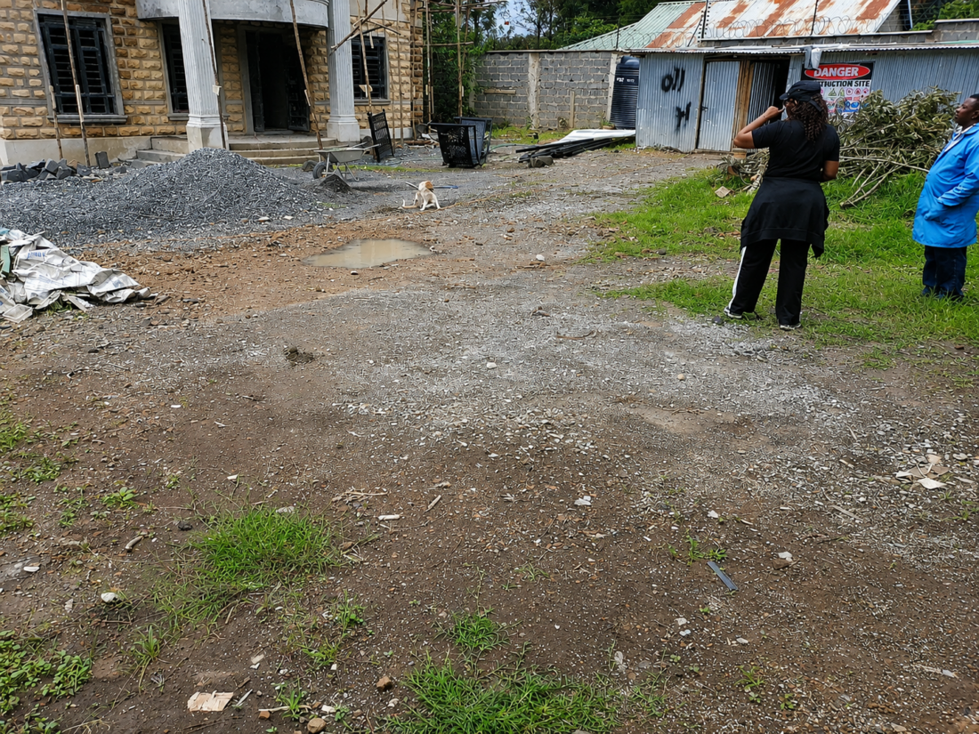 Post construction landscaping