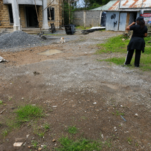 Post construction landscaping