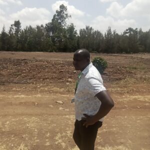 landscaping cost in Kenya