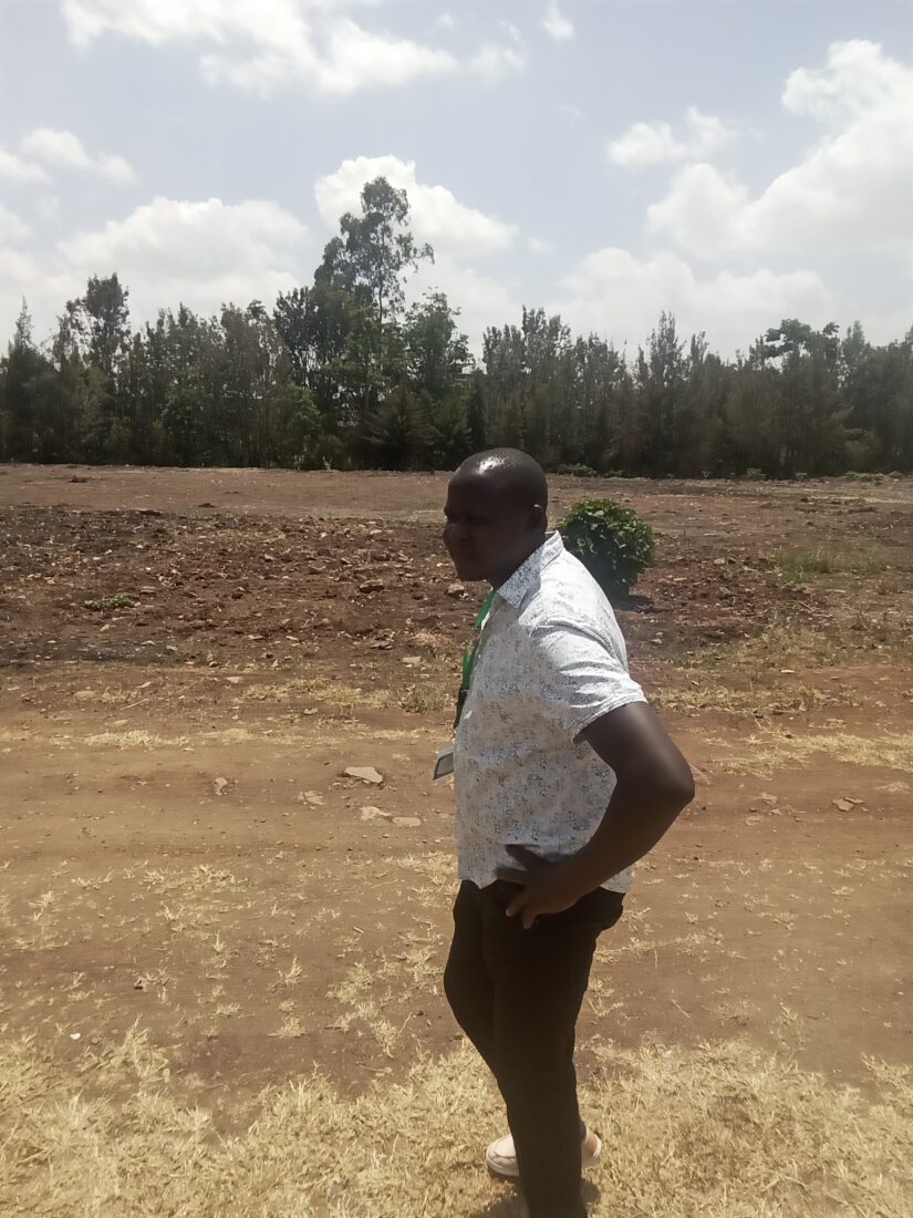 landscaping cost in Kenya