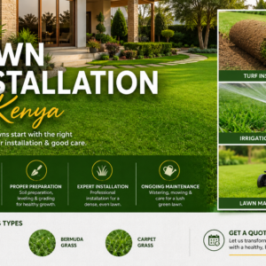 Lawn Installation