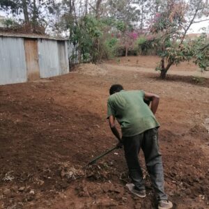 best grass for your compound