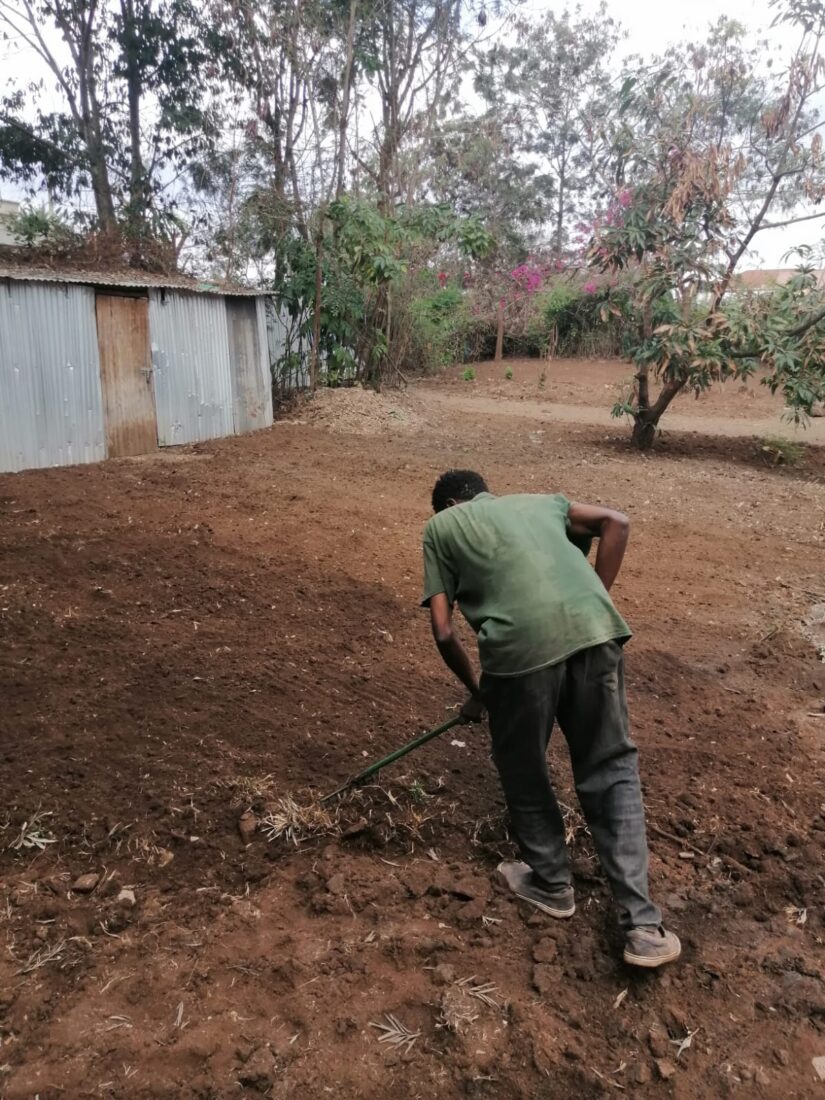 best grass for your compound